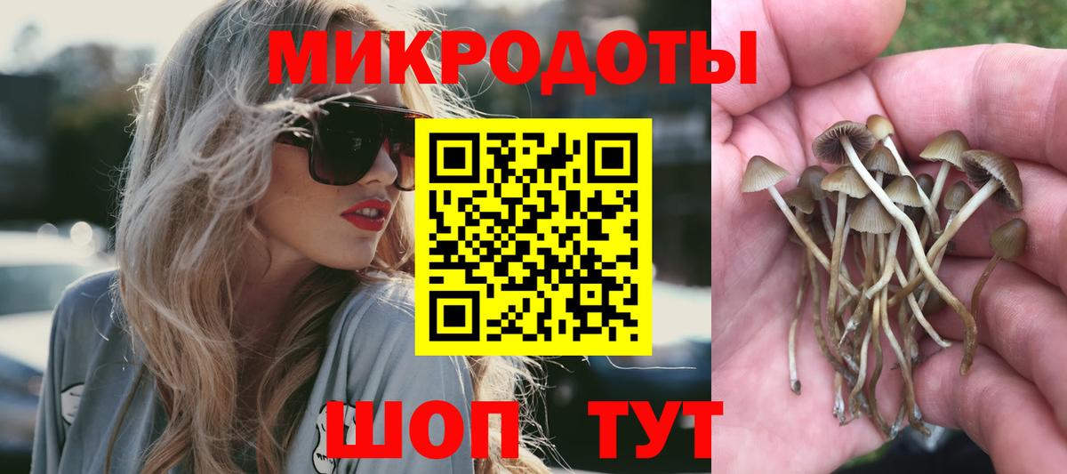 Балашиха  Псилоцибиновые грибы прущие грибы  Вход с VPN  Псилоцибиновые грибы Psilocybine cubensis 